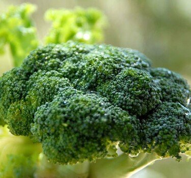 Broccoli