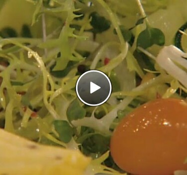 Omelet met salade van gemarineerde courgette