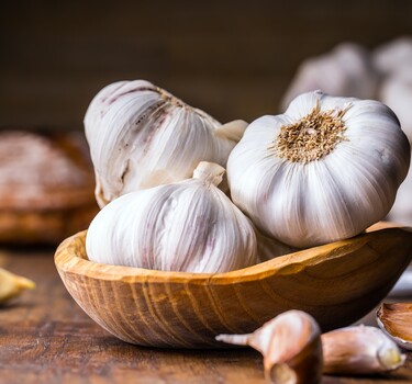 Knoflook