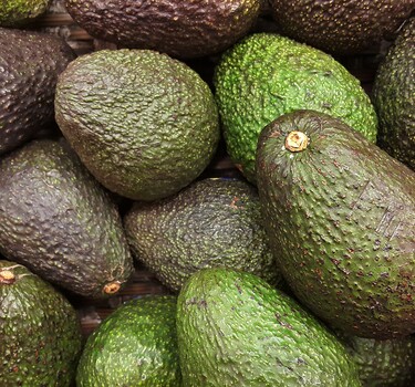 Avocado