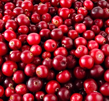 Cranberry's