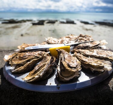 Oesters