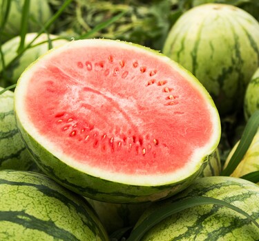 watermeloen rijp
