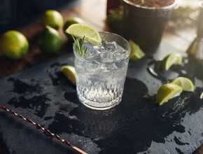 Gin tonic Miniatuurvoorbeeld