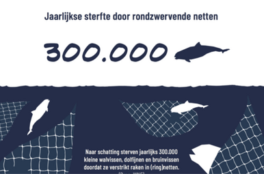 StopFouteTonijn Miniatuurvoorbeeld