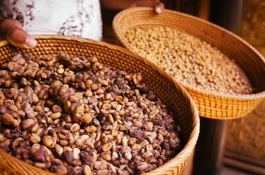 Kopi Luwak koffie Miniatuur