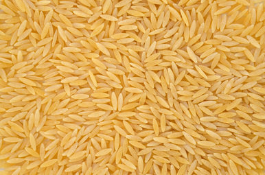 orzo