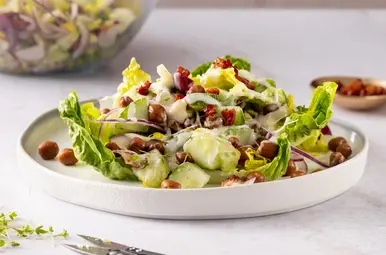 Kapucijnersalade