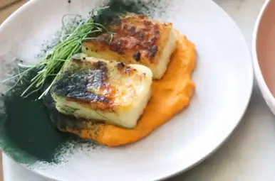 vegan vis