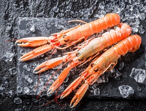 Langoustine 