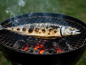 makreel bbq