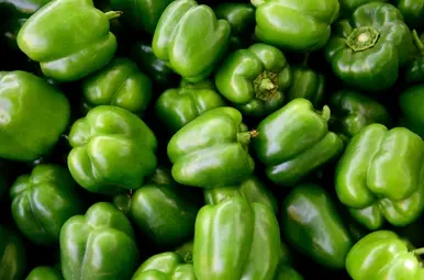 Groene paprika