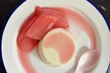 rabarber panna cotta