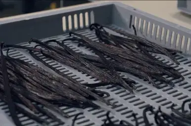 Vanillepeul