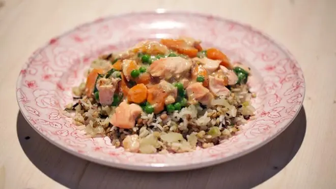 Romige zalmragout