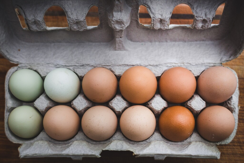 teller Overleven fenomeen Let hierop als je eieren koopt in de supermarkt - 24Kitchen