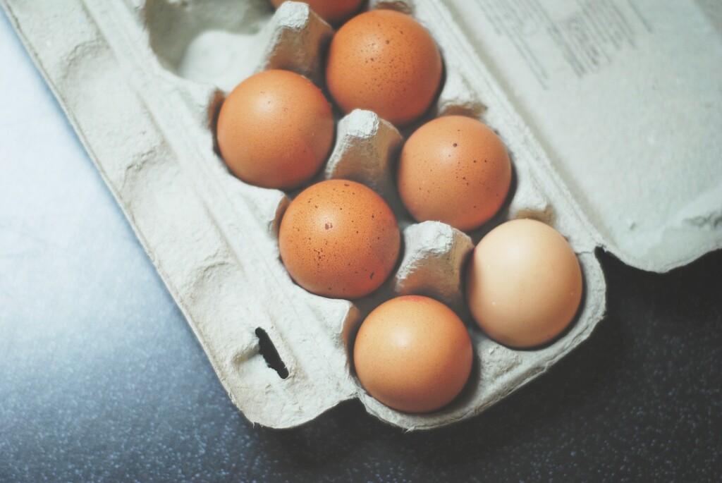 Knipoog bovenstaand Numeriek Eieren testen: zo kun je zien of je ei nog goed is