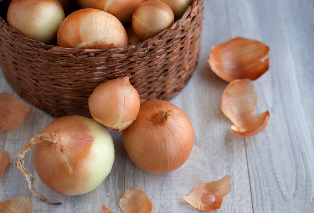 shutterstock_554742319.jpg